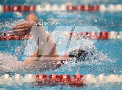 Thumbnail 1 in CHSAA 4A Boys Swimming - State Championship photogallery.