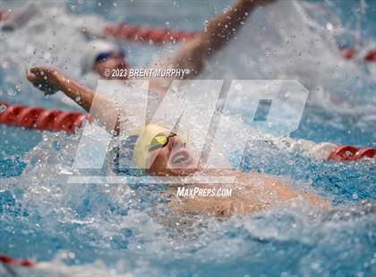 Thumbnail 2 in CHSAA 4A Boys Swimming - State Championship photogallery.