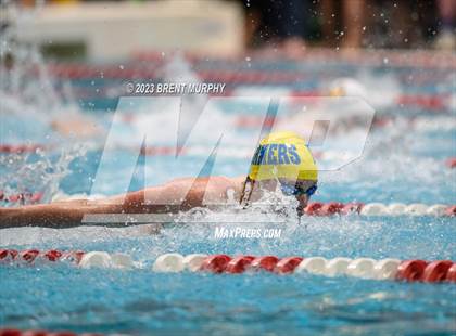 Thumbnail 2 in CHSAA 4A Boys Swimming - State Championship photogallery.