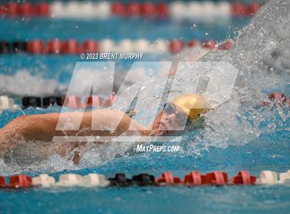 Thumbnail 1 in CHSAA 4A Boys Swimming - State Championship photogallery.
