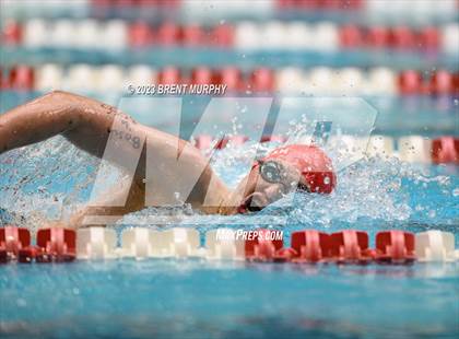 Thumbnail 1 in CHSAA 4A Boys Swimming - State Championship photogallery.