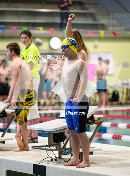Thumbnail 2 in CHSAA 4A Boys Swimming - State Championship photogallery.