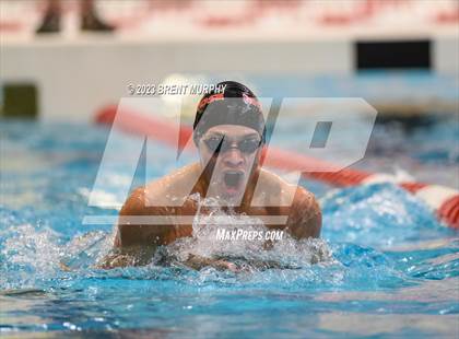 Thumbnail 2 in CHSAA 4A Boys Swimming - State Championship photogallery.