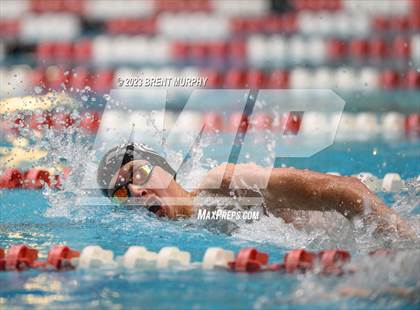 Thumbnail 2 in CHSAA 4A Boys Swimming - State Championship photogallery.