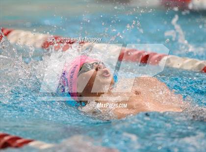 Thumbnail 2 in CHSAA 4A Boys Swimming - State Championship photogallery.