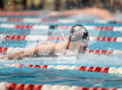 Thumbnail 3 in CHSAA 4A Boys Swimming - State Championship photogallery.