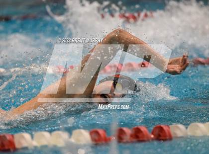 Thumbnail 3 in CHSAA 4A Boys Swimming - State Championship photogallery.