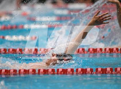 Thumbnail 1 in CHSAA 4A Boys Swimming - State Championship photogallery.