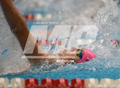 Thumbnail 3 in CHSAA 4A Boys Swimming - State Championship photogallery.