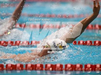 Thumbnail 1 in CHSAA 4A Boys Swimming - State Championship photogallery.