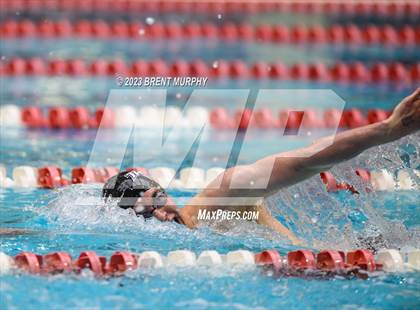 Thumbnail 1 in CHSAA 4A Boys Swimming - State Championship photogallery.