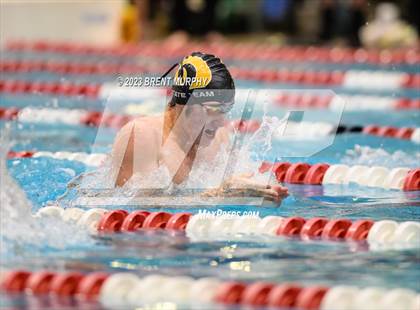 Thumbnail 3 in CHSAA 4A Boys Swimming - State Championship photogallery.