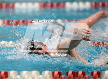 Thumbnail 2 in CHSAA 4A Boys Swimming - State Championship photogallery.