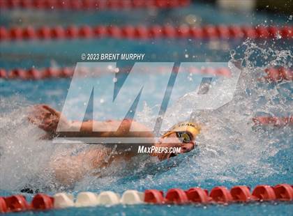 Thumbnail 1 in CHSAA 4A Boys Swimming - State Championship photogallery.