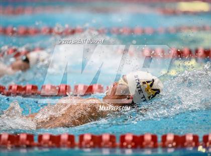 Thumbnail 2 in CHSAA 4A Boys Swimming - State Championship photogallery.