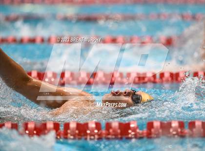 Thumbnail 2 in CHSAA 4A Boys Swimming - State Championship photogallery.