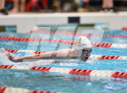 Thumbnail 1 in CHSAA 4A Boys Swimming - State Championship photogallery.