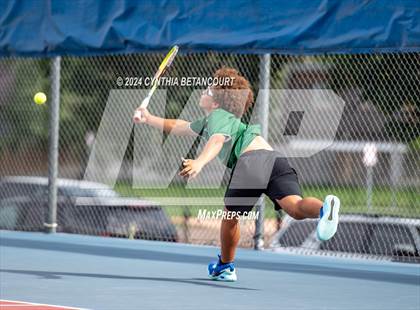 Thumbnail 1 in Cherry Creek vs Mountain Vista photogallery.