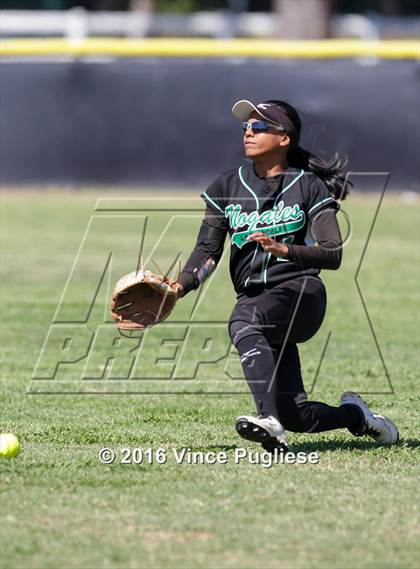 Thumbnail 1 in Nogales @ Louisville (CIF SS Playoffs) photogallery.