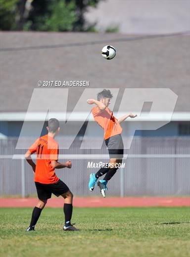 null - Photo 01