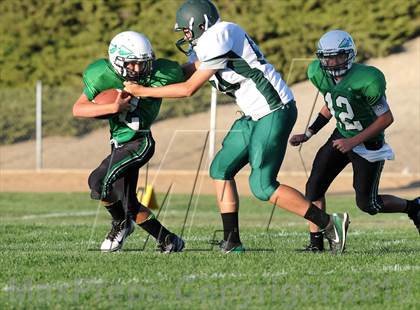 Thumbnail 2 in Burroughs @ Tehachapi photogallery.
