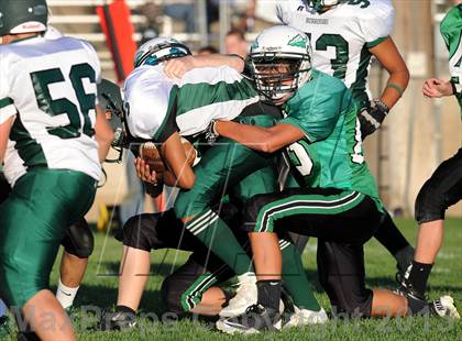 Thumbnail 1 in Burroughs @ Tehachapi photogallery.