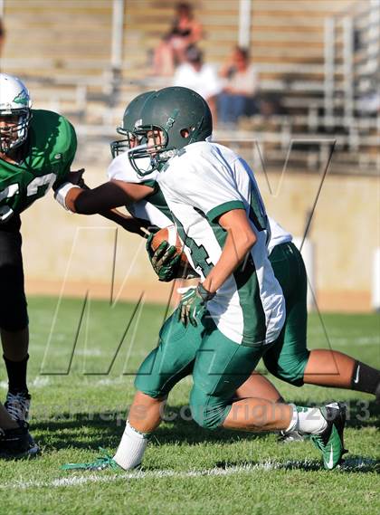 Thumbnail 3 in Burroughs @ Tehachapi photogallery.