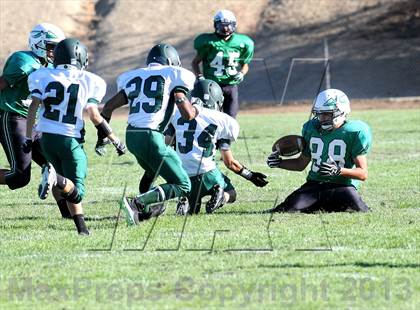 Thumbnail 1 in Burroughs @ Tehachapi photogallery.