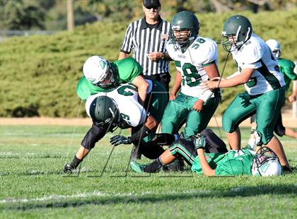 Thumbnail 2 in Burroughs @ Tehachapi photogallery.