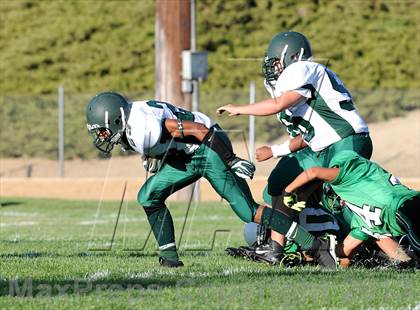 Thumbnail 1 in Burroughs @ Tehachapi photogallery.