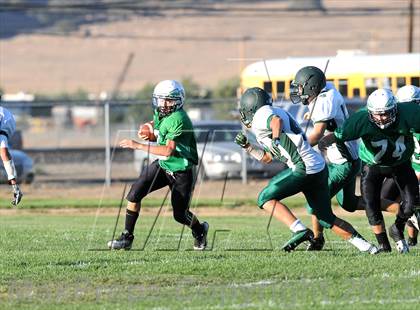 Thumbnail 1 in Burroughs @ Tehachapi photogallery.
