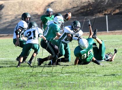 Thumbnail 3 in Burroughs @ Tehachapi photogallery.