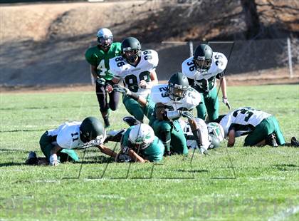 Thumbnail 1 in Burroughs @ Tehachapi photogallery.