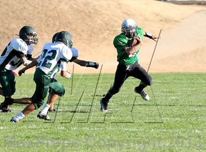 Thumbnail 1 in Burroughs @ Tehachapi photogallery.