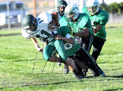 Thumbnail 2 in Burroughs @ Tehachapi photogallery.