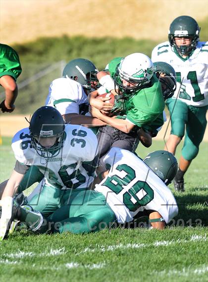 Thumbnail 1 in Burroughs @ Tehachapi photogallery.