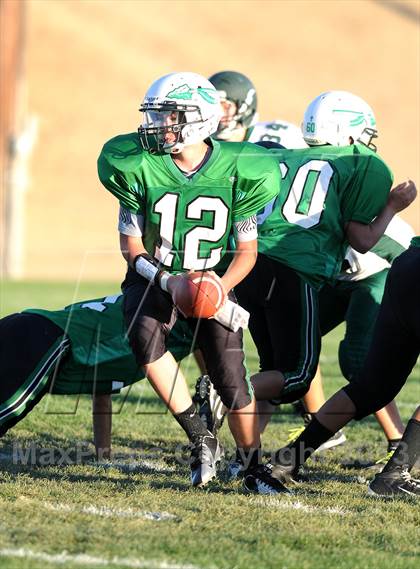 Thumbnail 3 in Burroughs @ Tehachapi photogallery.