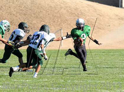 Thumbnail 3 in Burroughs @ Tehachapi photogallery.