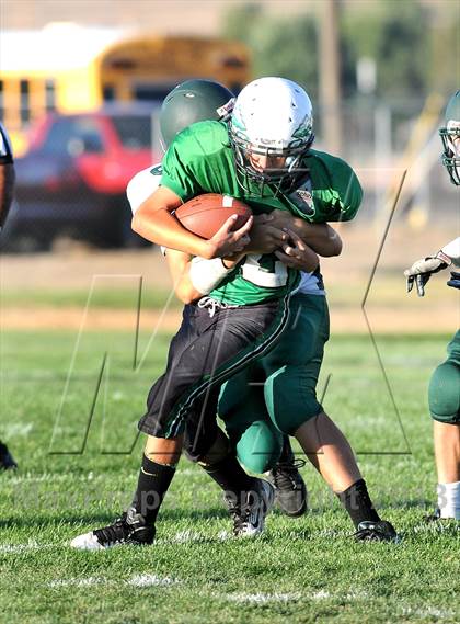 Thumbnail 3 in Burroughs @ Tehachapi photogallery.
