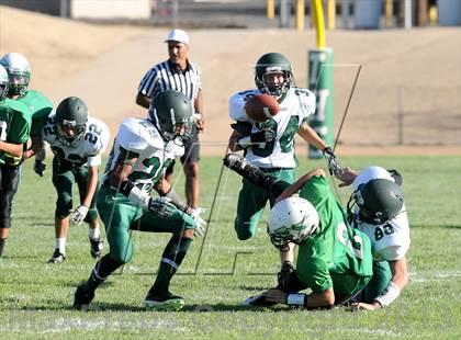 Thumbnail 1 in Burroughs @ Tehachapi photogallery.