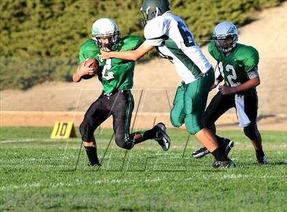 Thumbnail 1 in Burroughs @ Tehachapi photogallery.