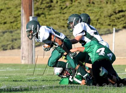 Thumbnail 3 in Burroughs @ Tehachapi photogallery.