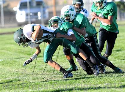 Thumbnail 3 in Burroughs @ Tehachapi photogallery.