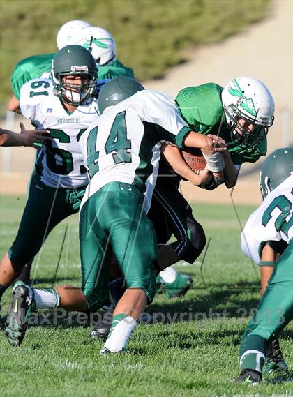 Thumbnail 2 in Burroughs @ Tehachapi photogallery.