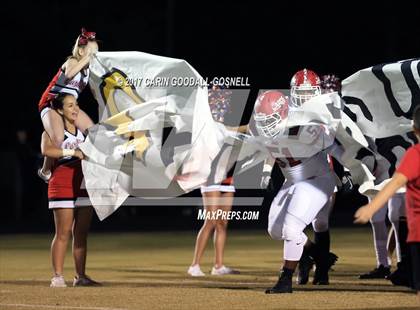Thumbnail 1 in Jacksonville @ Havelock photogallery.