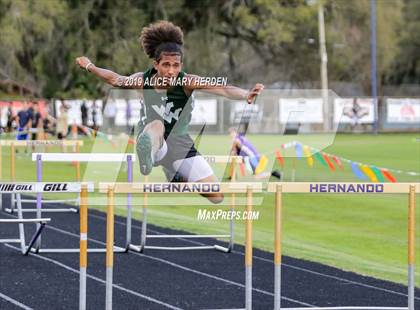 Thumbnail 2 in Hernando Invitational  photogallery.