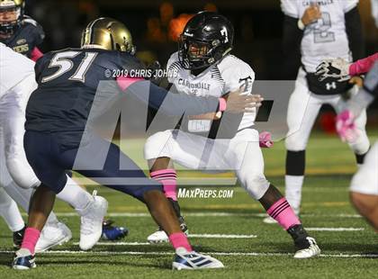 Thumbnail 3 in Carbondale @ Althoff photogallery.