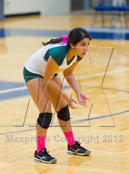 Thumbnail 3 in Taft @ Holmes photogallery.