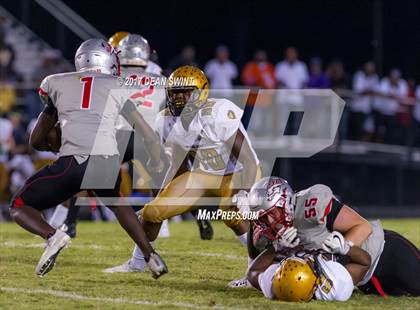 Thumbnail 3 in Shelby @ South Pointe photogallery.