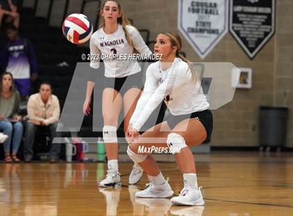 Thumbnail 2 in Magnolia @ College Station photogallery.